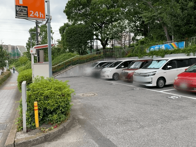 江戸川区親水公園水遊び