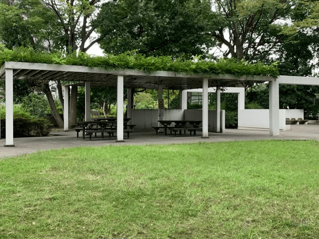 江戸川区親水公園水遊び