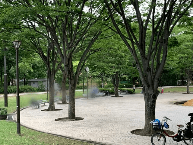 江戸川区親水公園水遊び