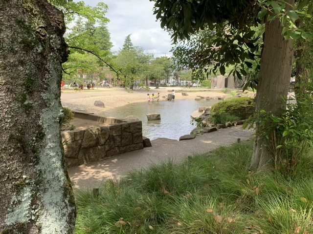 江戸川区親水公園水遊び